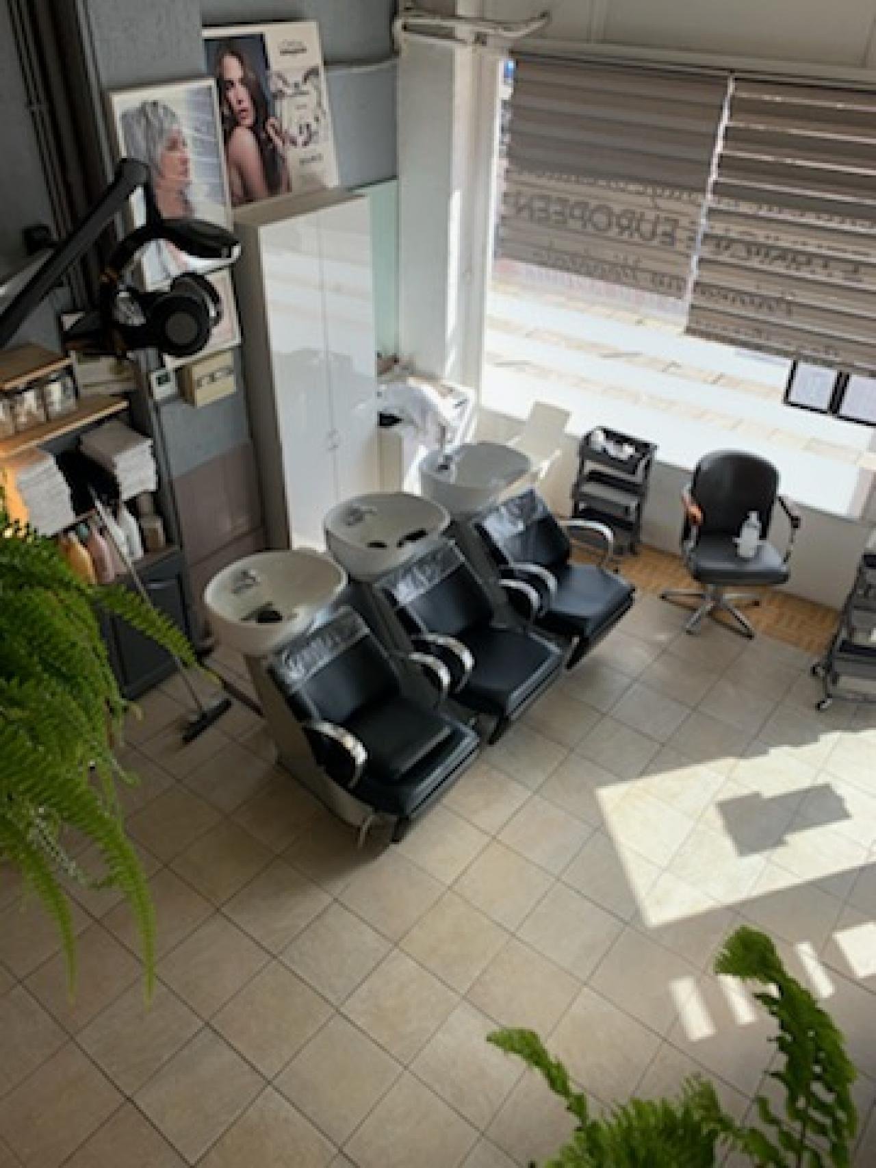 elysee coiffure