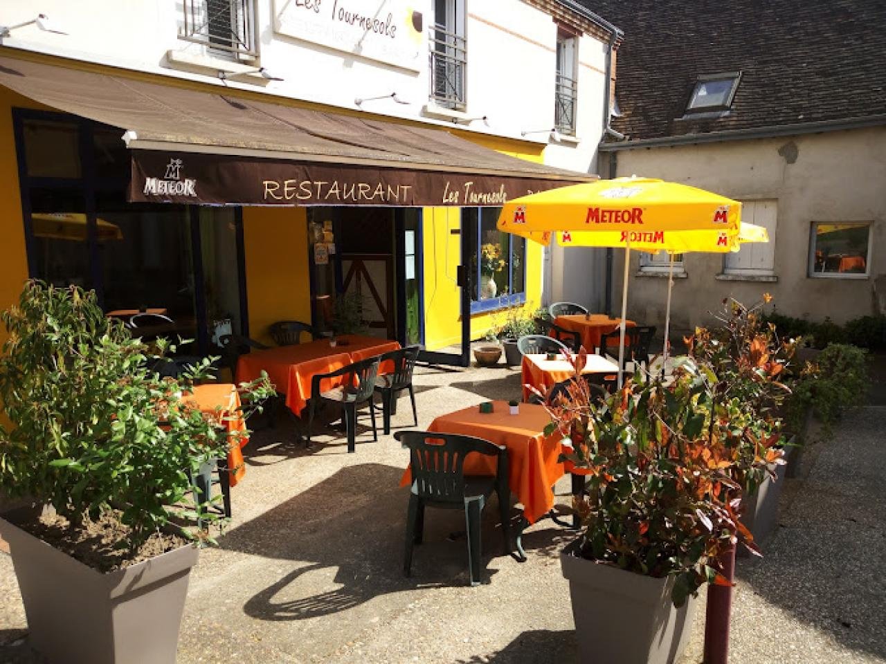 LES TOURNESOLS