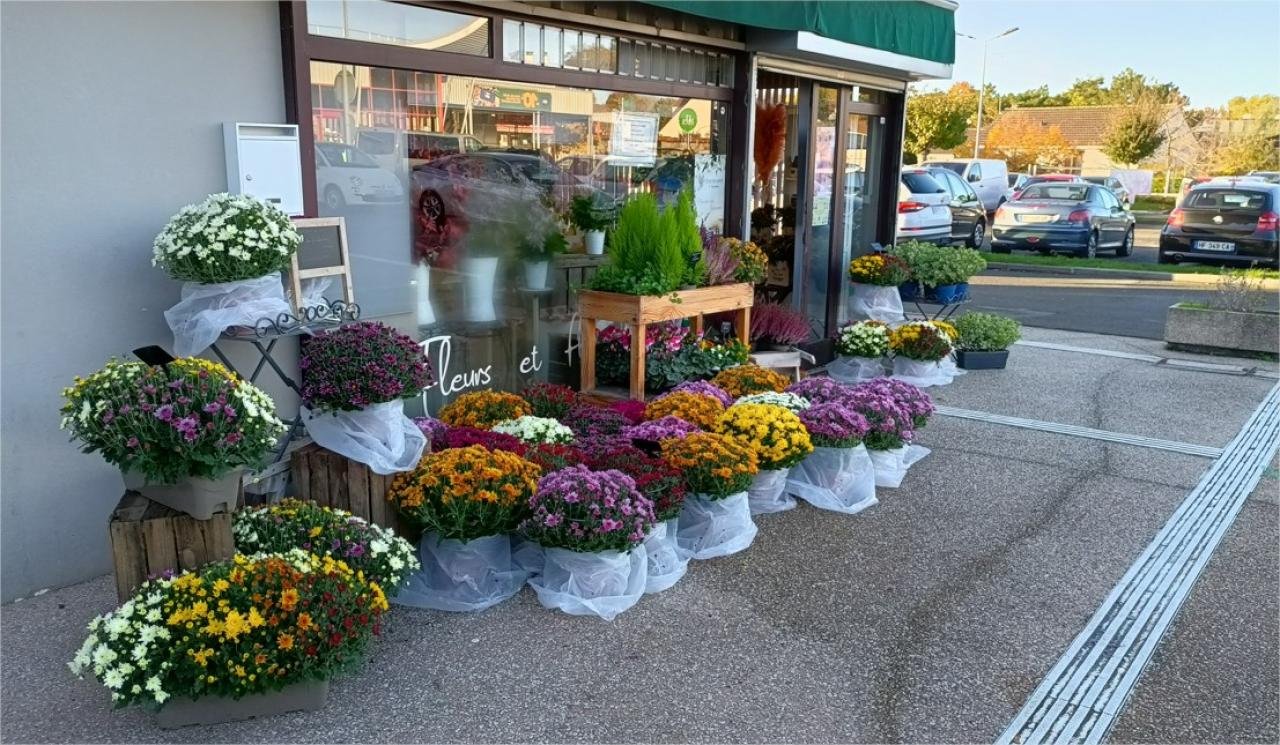 FLEURS  ET FLEURETTES